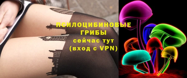 spice Гусиноозёрск
