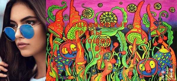 mdma Гусев