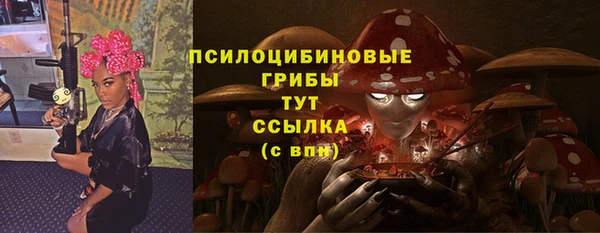 СК Нефтекумск