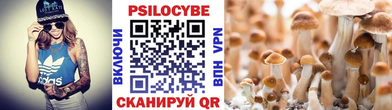 где можно купить наркотик  Суоярви  Галлюциногенные грибы GOLDEN TEACHER 